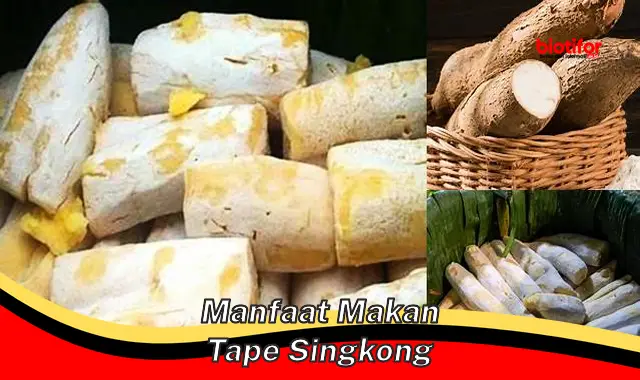 manfaat makan tape singkong