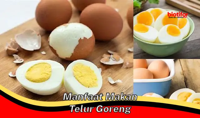 manfaat makan telur goreng