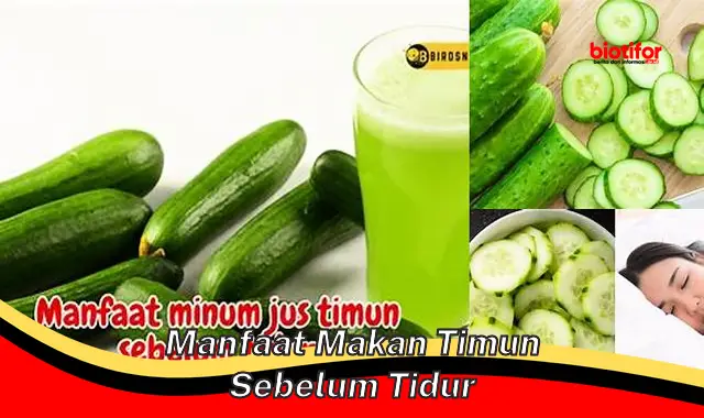 manfaat makan timun sebelum tidur