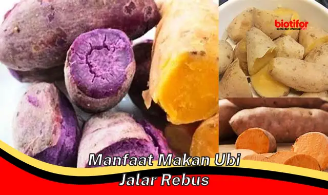 manfaat makan ubi jalar rebus