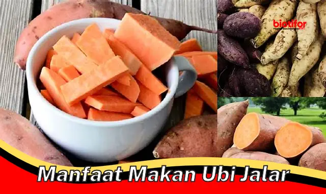 manfaat makan ubi jalar