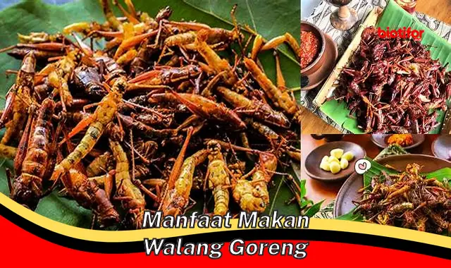 manfaat makan walang goreng