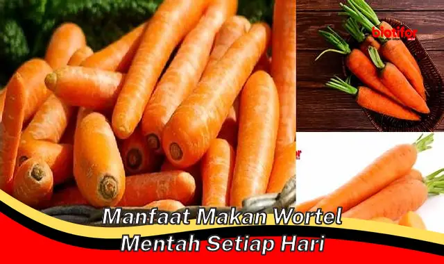 manfaat makan wortel mentah setiap hari