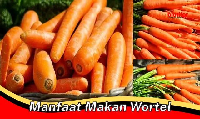 manfaat makan wortel