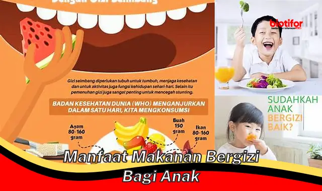 manfaat makanan bergizi bagi anak