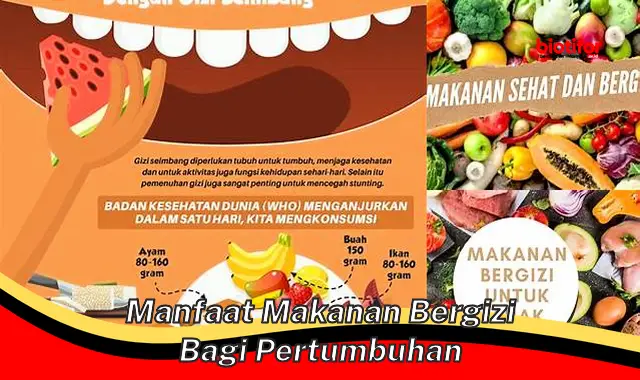 manfaat makanan bergizi bagi pertumbuhan