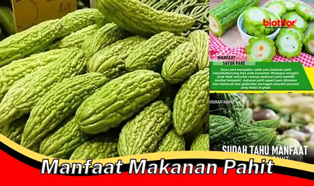 manfaat makanan pahit