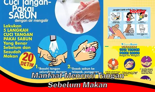 manfaat mencuci tangan sebelum makan