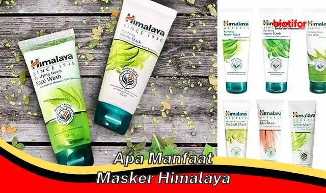 apa manfaat masker himalaya