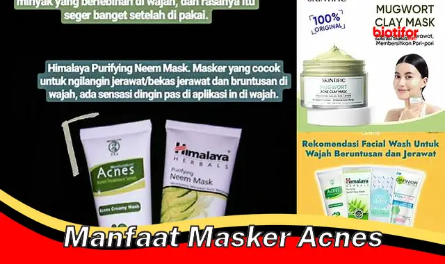 manfaat masker acnes