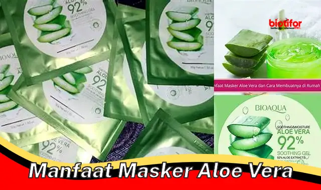 manfaat masker aloe vera