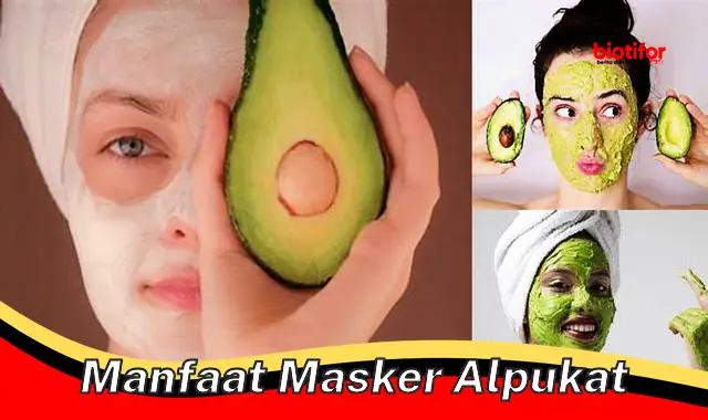 manfaat masker alpukat