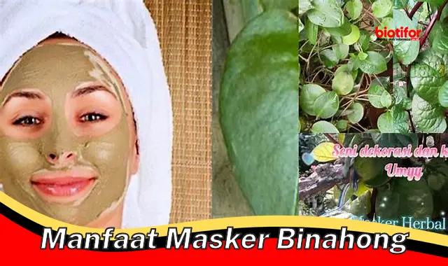 manfaat masker binahong