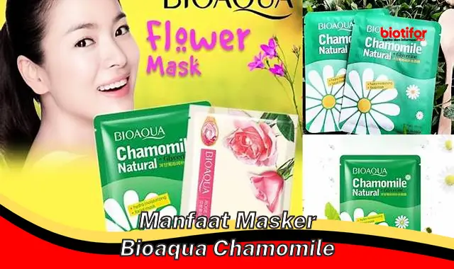 Temukan Manfaat Masker Bioaqua Chamomile yang Jarang Diketahui