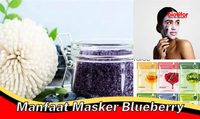 manfaat masker blueberry