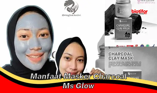 manfaat masker charcoal ms glow