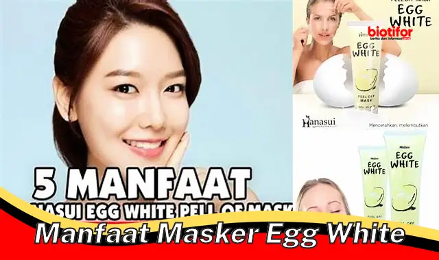 manfaat masker egg white