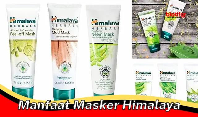 manfaat masker himalaya