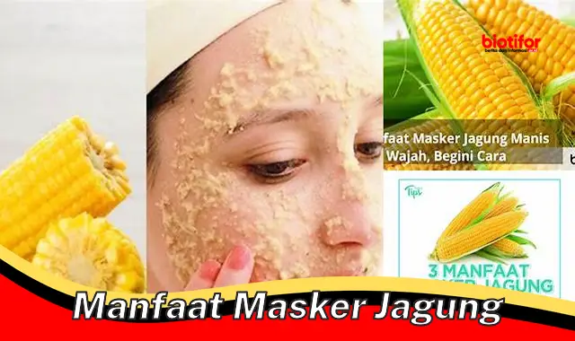 manfaat masker jagung