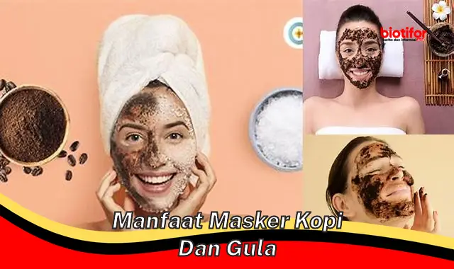 manfaat masker kopi dan gula