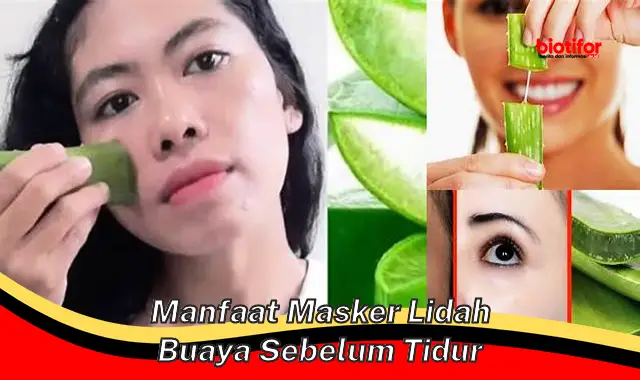 Temukan Khasiat Masker Lidah Buaya Sebelum Tidur yang Perlu Anda Ketahui