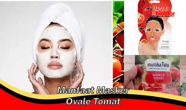 manfaat masker ovale tomat