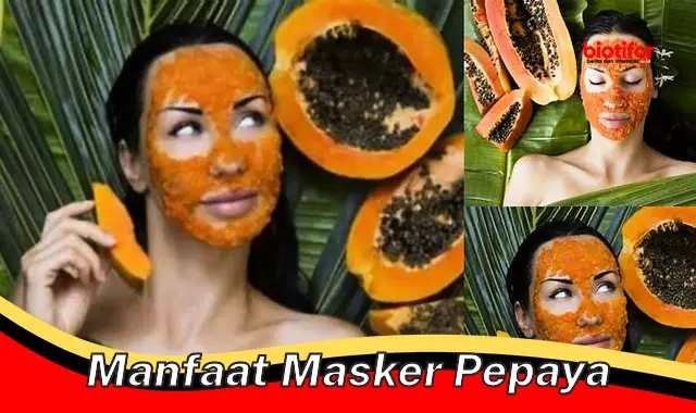 manfaat masker pepaya