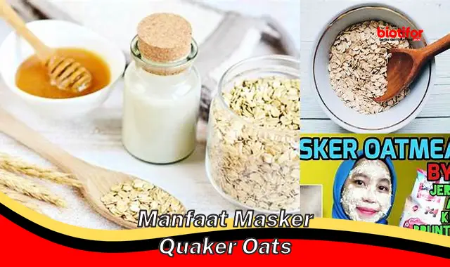 manfaat masker quaker oats