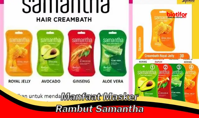 manfaat masker rambut samantha