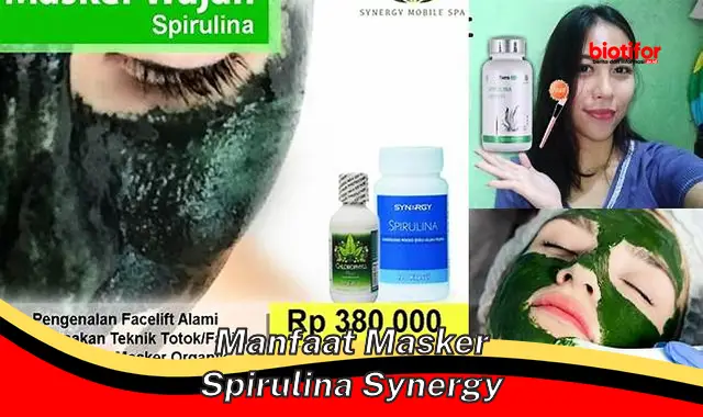 manfaat masker spirulina synergy