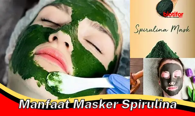 manfaat masker spirulina