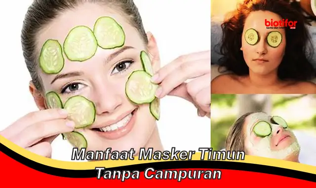 manfaat masker timun tanpa campuran