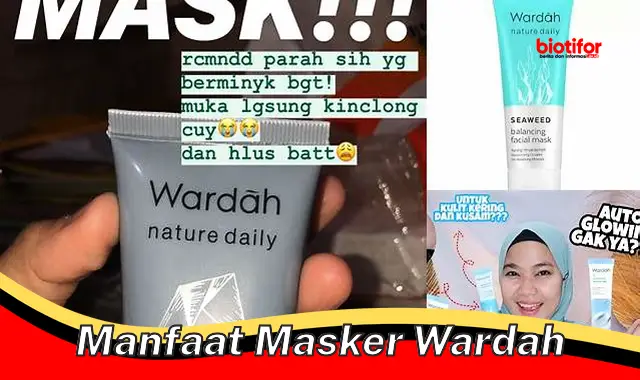 manfaat masker wardah