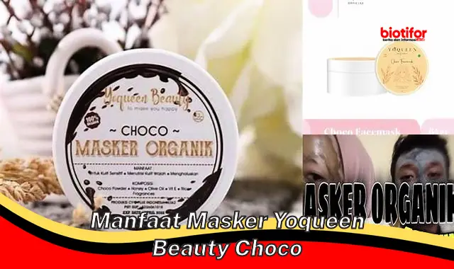manfaat masker yoqueen beauty choco