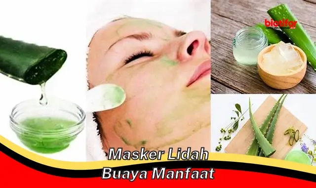 masker lidah buaya manfaat