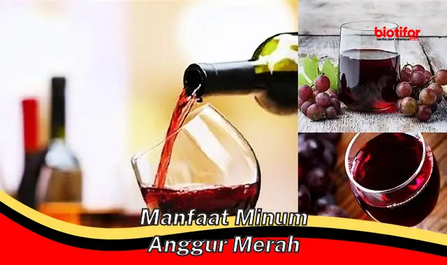 manfaat minum anggur merah