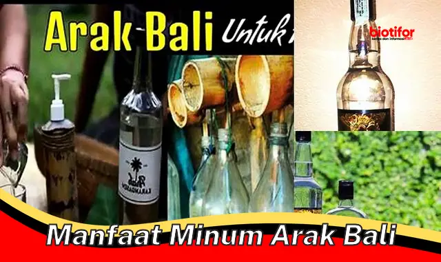 manfaat minum arak bali