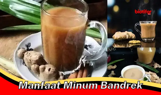 manfaat minum bandrek