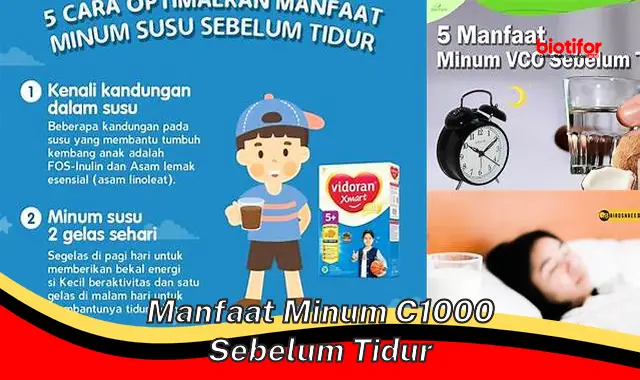 manfaat minum c1000 sebelum tidur