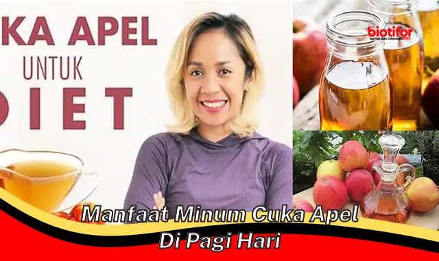 manfaat minum cuka apel di pagi hari