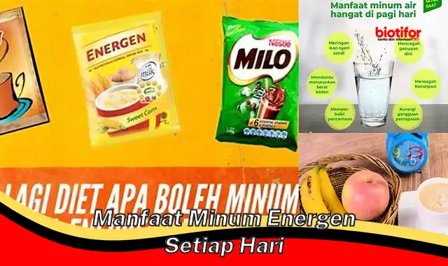 manfaat minum energen setiap hari