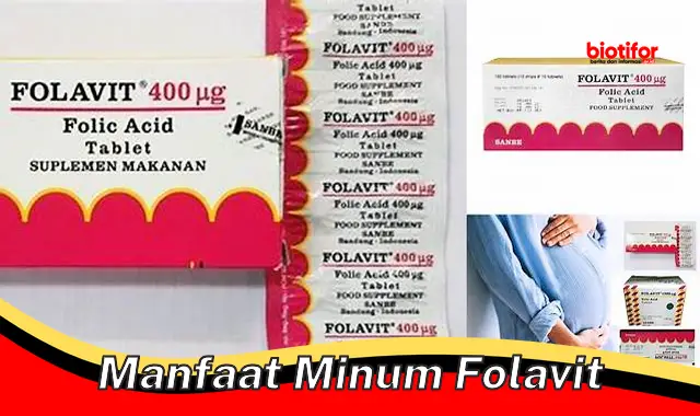 manfaat minum folavit