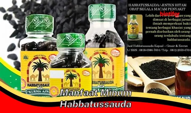 manfaat minum habbatussauda