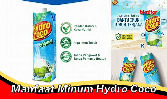 manfaat minum hydro coco