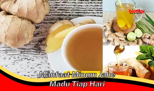 manfaat minum jahe madu tiap hari