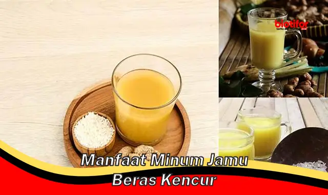 manfaat minum jamu beras kencur