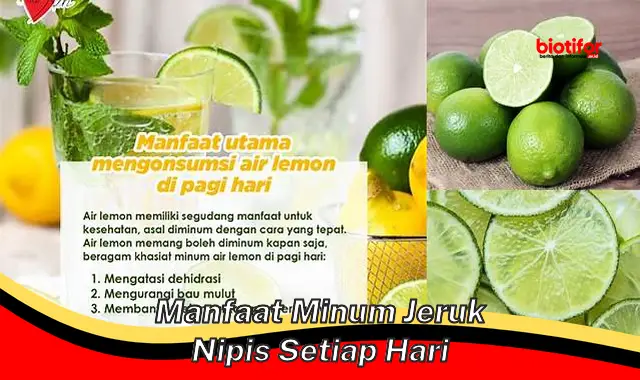 Temukan Manfaat Minum Jeruk Nipis Setiap Hari Yang Jarang Diketahui