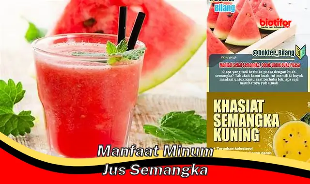 manfaat minum jus semangka