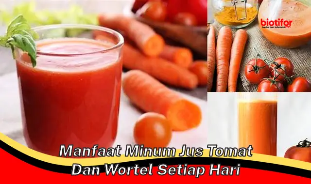 manfaat minum jus tomat dan wortel setiap hari