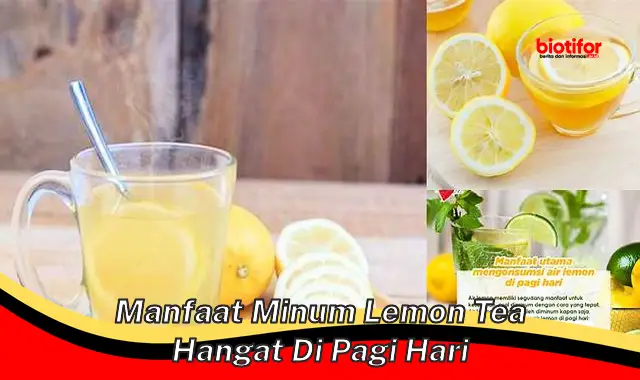 manfaat minum lemon tea hangat di pagi hari